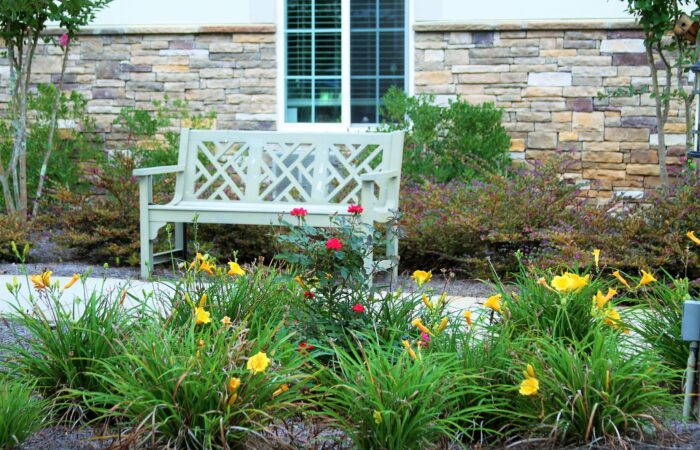 Tammy Anthony Baker, Photographer