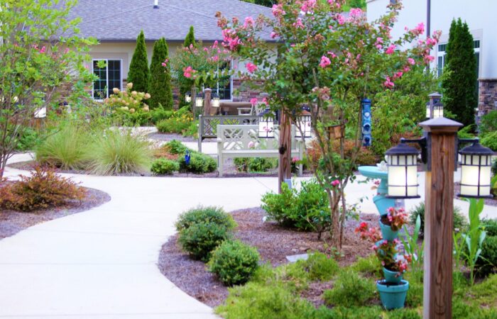 Tammy Anthony Baker, Photographer